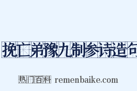 挽亡弟豫九制参诗造句是什么意思的图片
